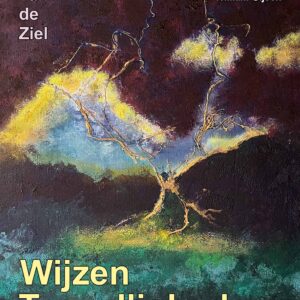 WIJZEN TOEVALLIGHEDEN DE WEG